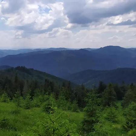 затишок в карпатах Сколе