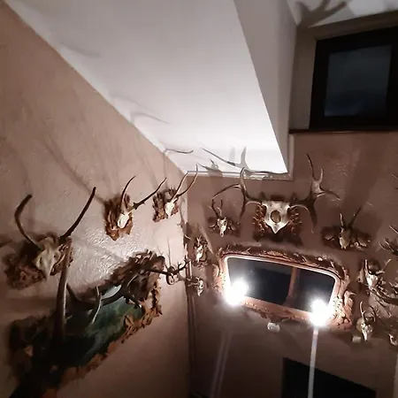 затишок в карпатах Skole