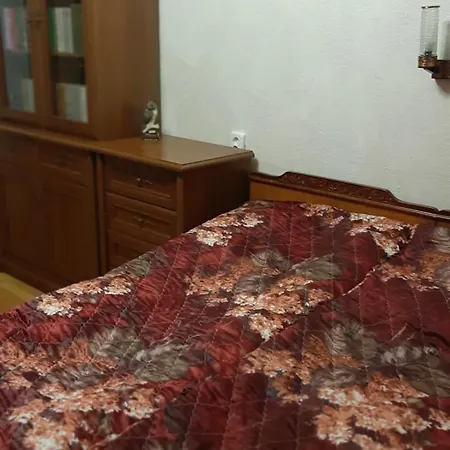 Apartment затишок в карпатах