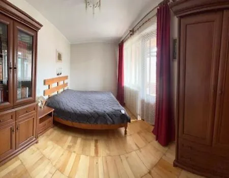 Apartment затишок в карпатах Skole