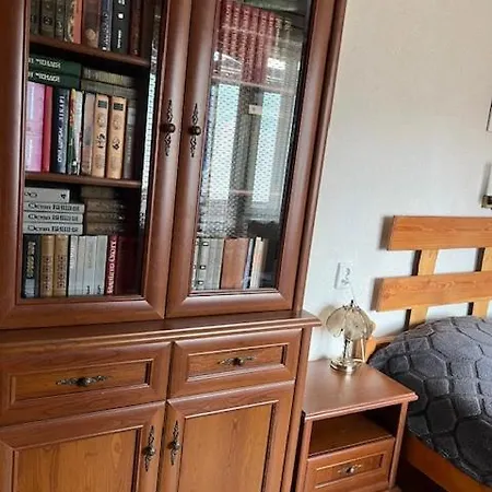 затишок в карпатах Apartmán